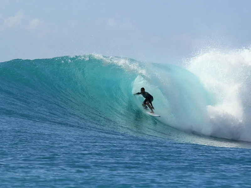 Cursos de surf y SUP